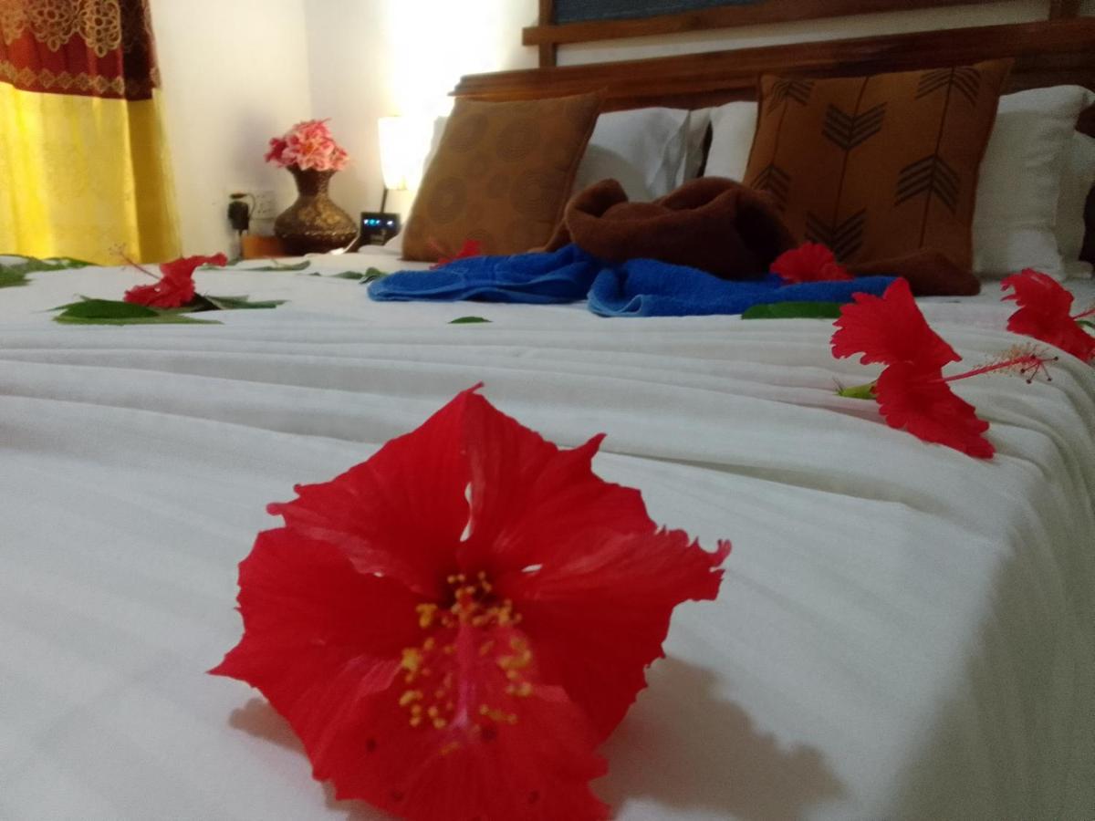 Sigiriya Village Home Stay & Private Room エクステリア 写真